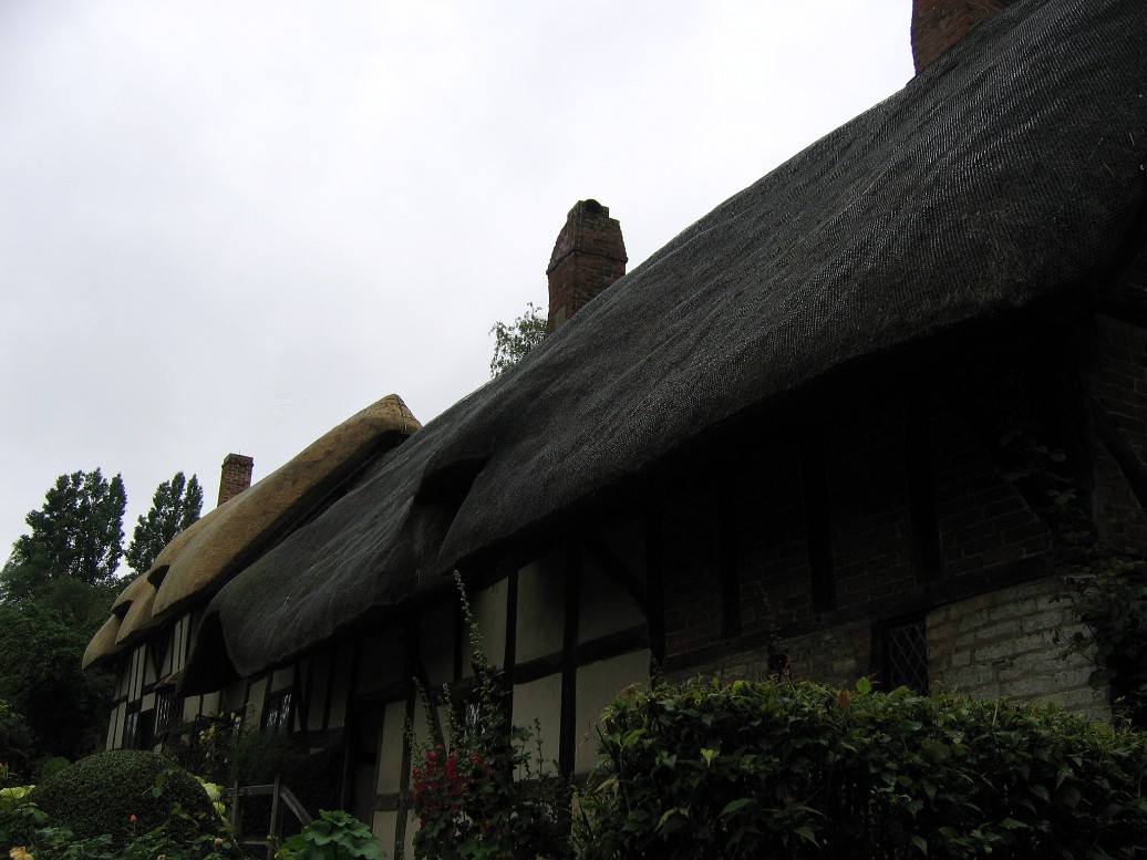 Thatched Roof 1 Thatched Roof 1
